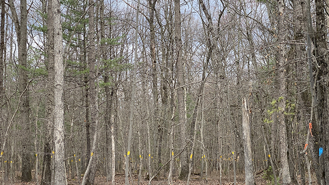 State Game Lands 305