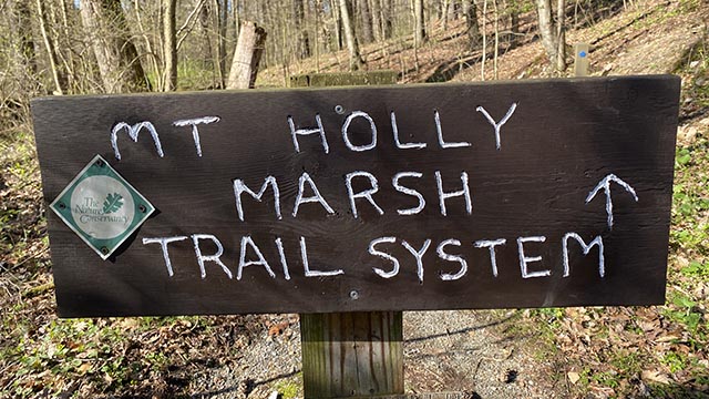 Mount Holly Marsh Preserve