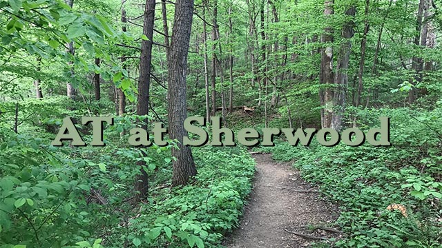 AT at Sherwood