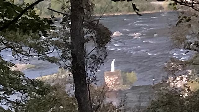 Cove Mountain Preserve