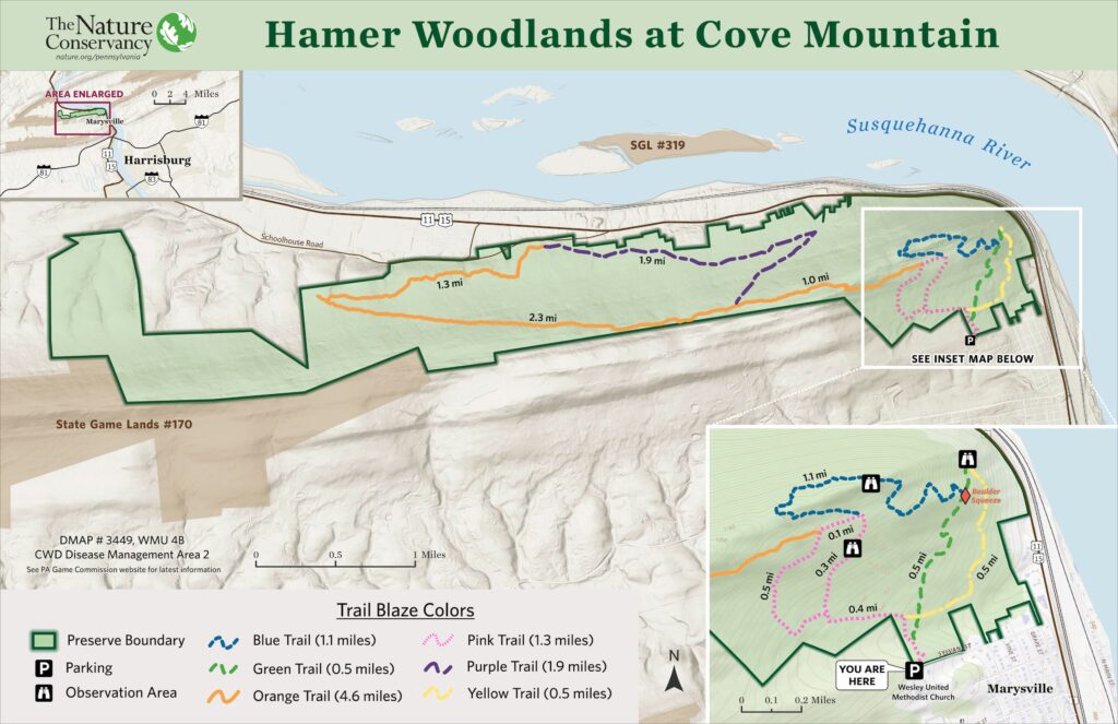 Mount Holly Marsh Trail Map